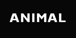 Galería Animal, Santiago