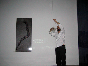 J. Sobrino, "Oscilador"